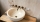   Sheerdecor Bowl 637093811 5050 , 